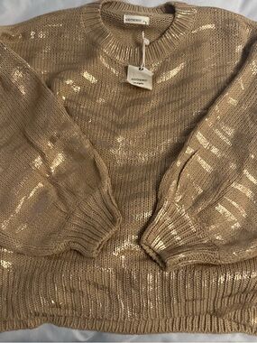 Boutique Metallic Beige Knit Sweater
